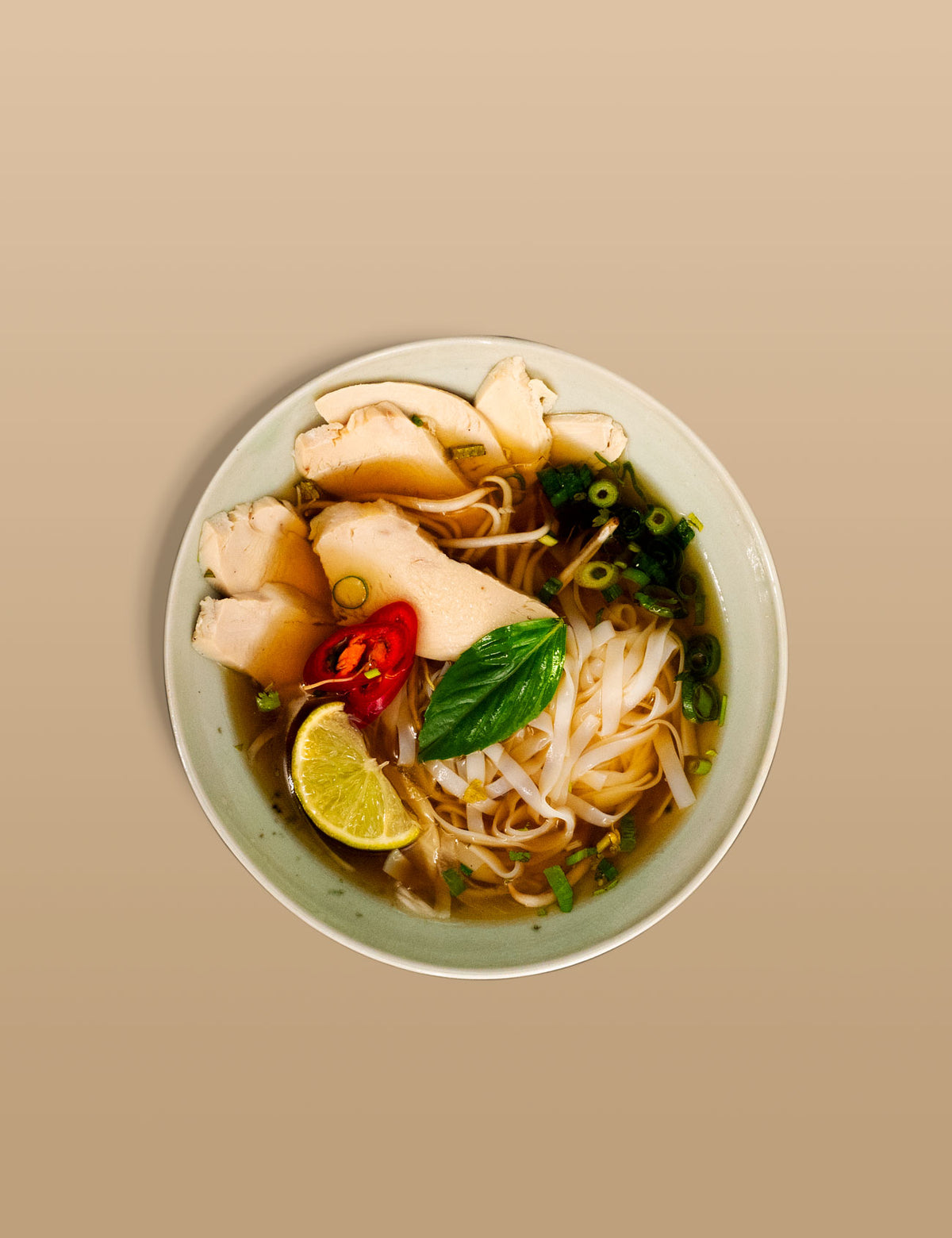 Pho Gà (Huhn / Brühe) - jus&jar