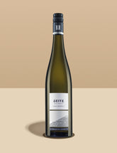 Leitz 2022 Magic Mountain - jus&jar